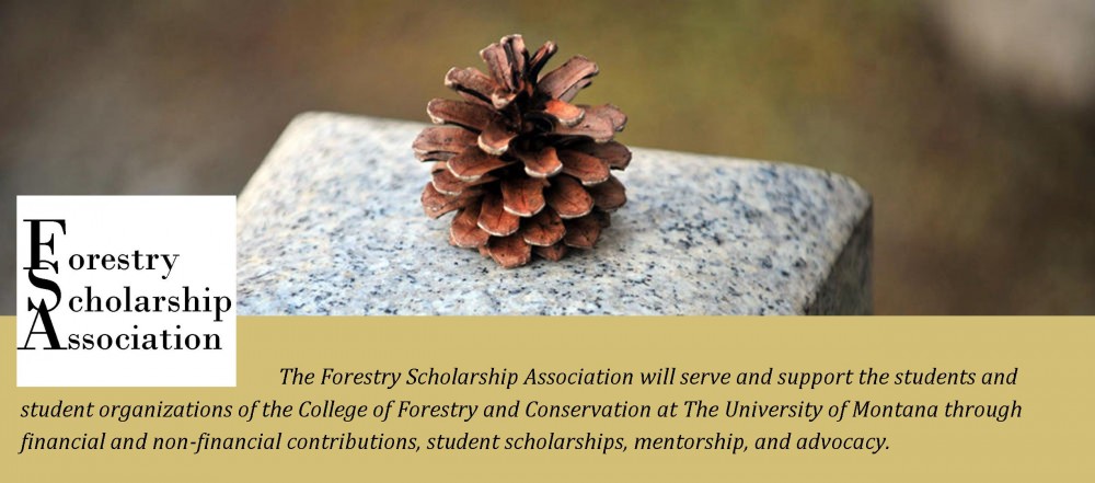 Forestry Scholarship Association